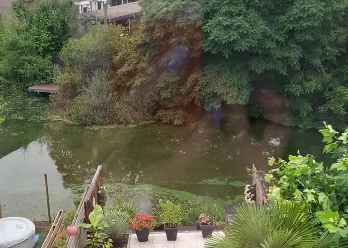 Studio 76 Groningen Met Gratis Leenfietsen