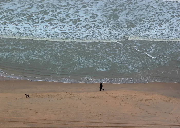 Luxushotel: Palace Hotel Zandvoort