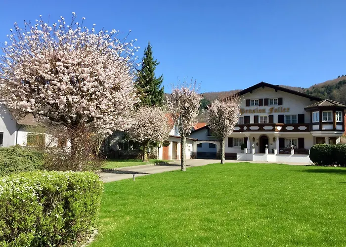 Hotel: Hotel Gasthaus Adler