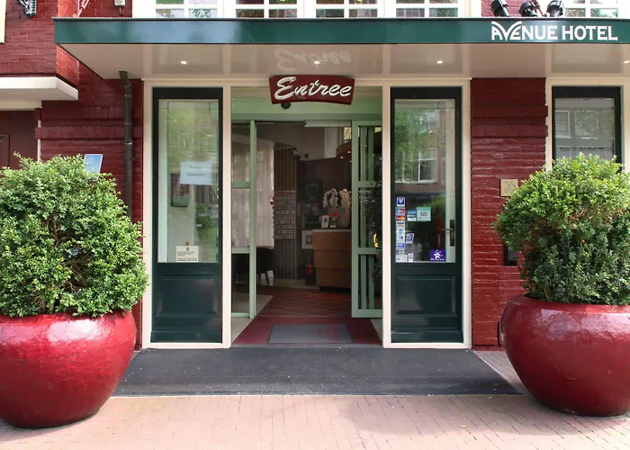 3-Sterne-Hotel: Avenue Hotel