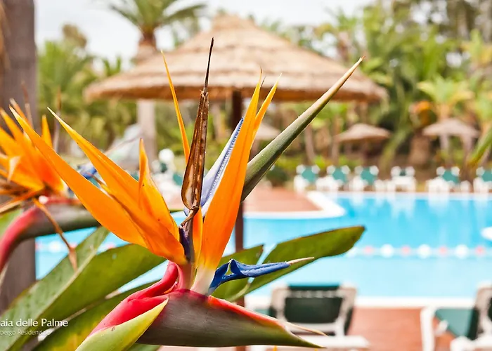 Hotel Am Baia Delle Palme