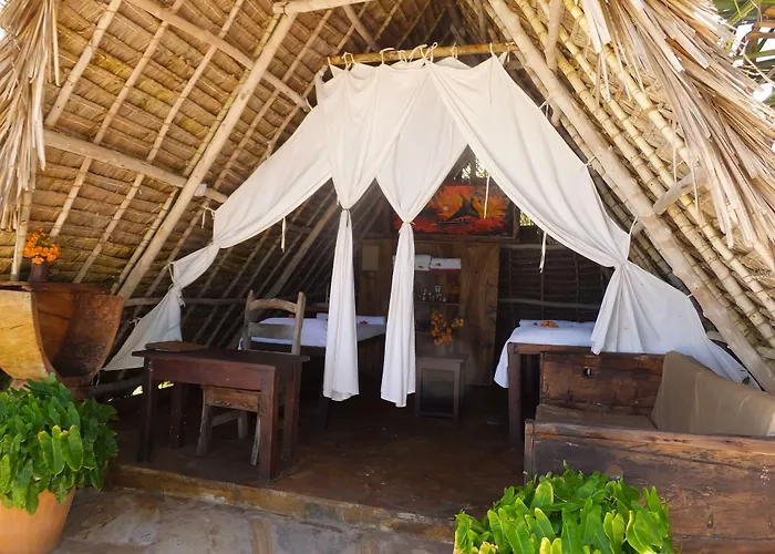 The Zanzibari