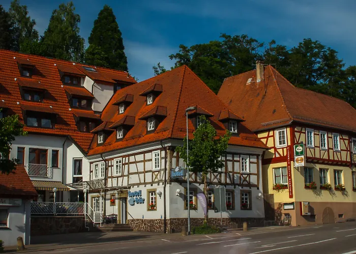 Haustierfreundliches Hotel: Hotel Baer