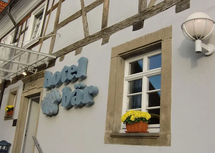 Haustierfreundliches Hotel: Hotel Baer