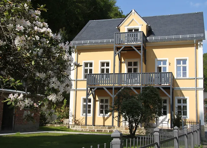 Haustierfreundliches Hotel: Villa Elise