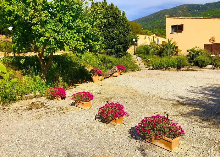 Cuore Della Valle