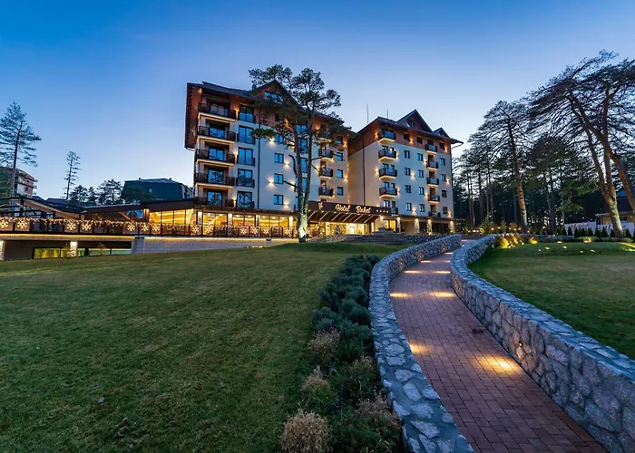 Hotel: Hotel Buket Zlatibor