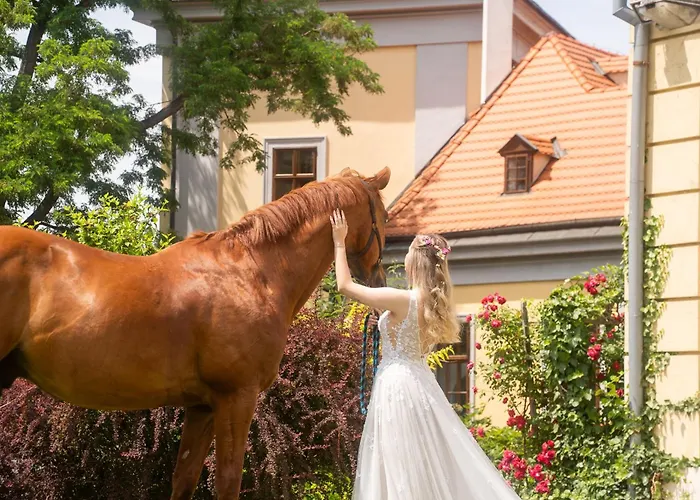 Pytloun Chateau Hotel Ctenice