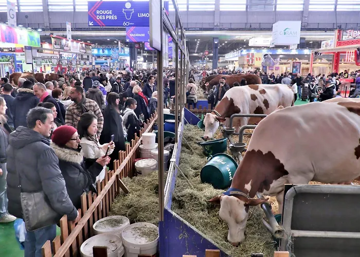 Romantisches Hotel: Fred'Hotel