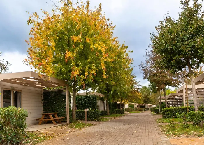 hu Firenze Camping in Town