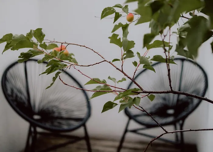 4-Sterne-Hotel: Berg-Leben