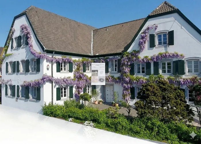 3 SterneHotel Rhein River Guesthouse - Direkt Am Rhein