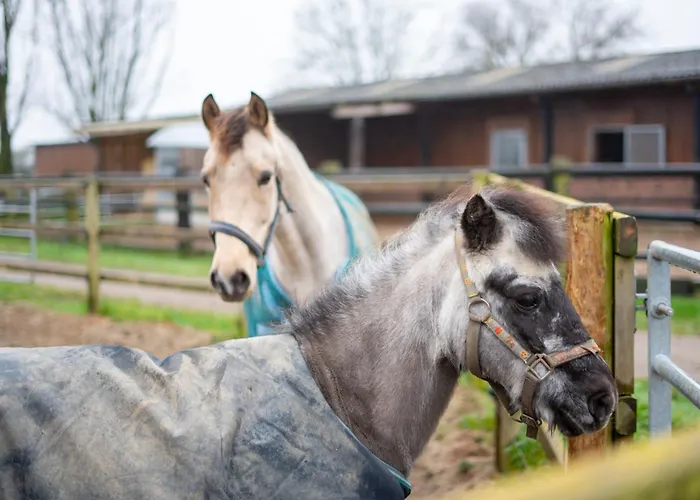 Ferienwohnung Versteeg am Winkelschen Busch