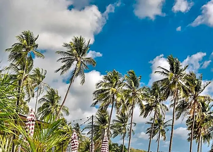 Shantaa , Kohkood