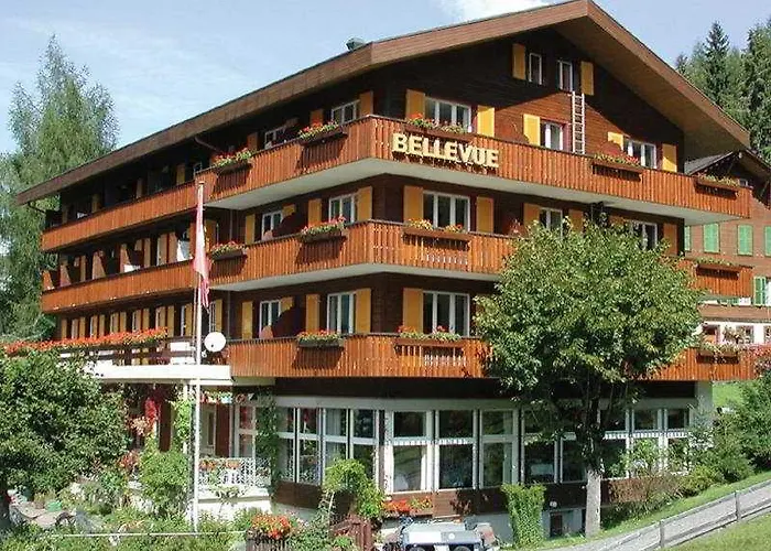 Hotel: Minotel Bellevue