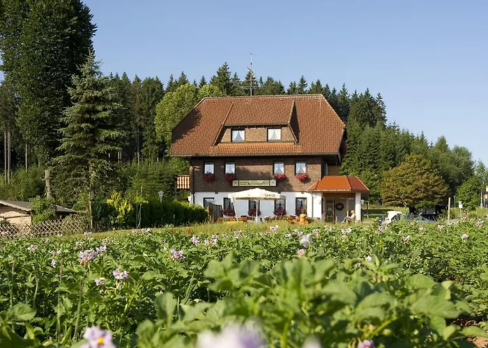 3-Sterne-Hotel: Gasthaus Schweizerhof