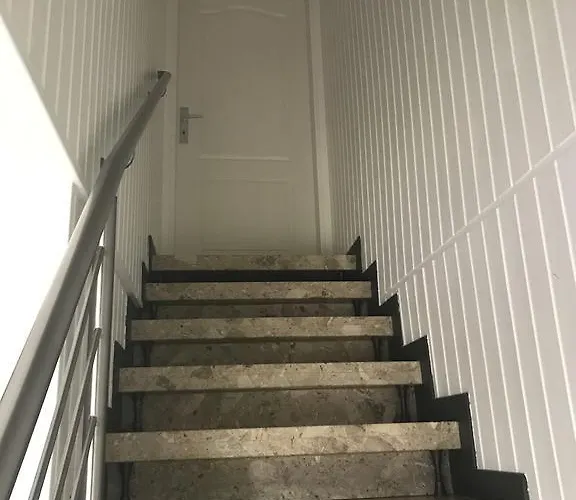 P.T-