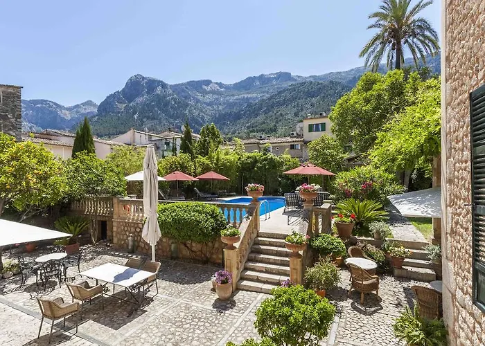 The Salvia - Adults Only