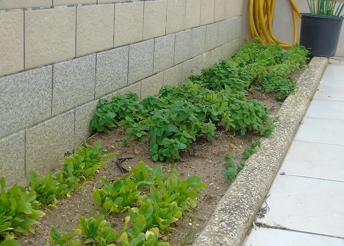 Strandhotel: Lagos Guests B&B