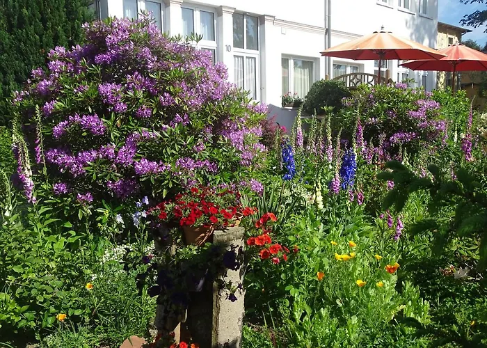 Ferienwohnungen Stranddistel - Apartments Von 30 Bis 75 Qm