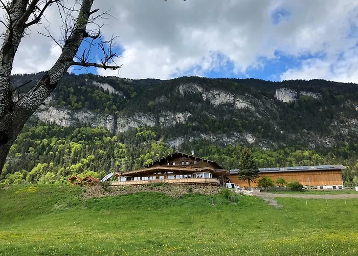 Haflingerhof