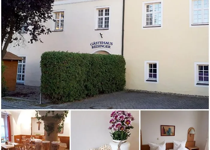  Reisinger